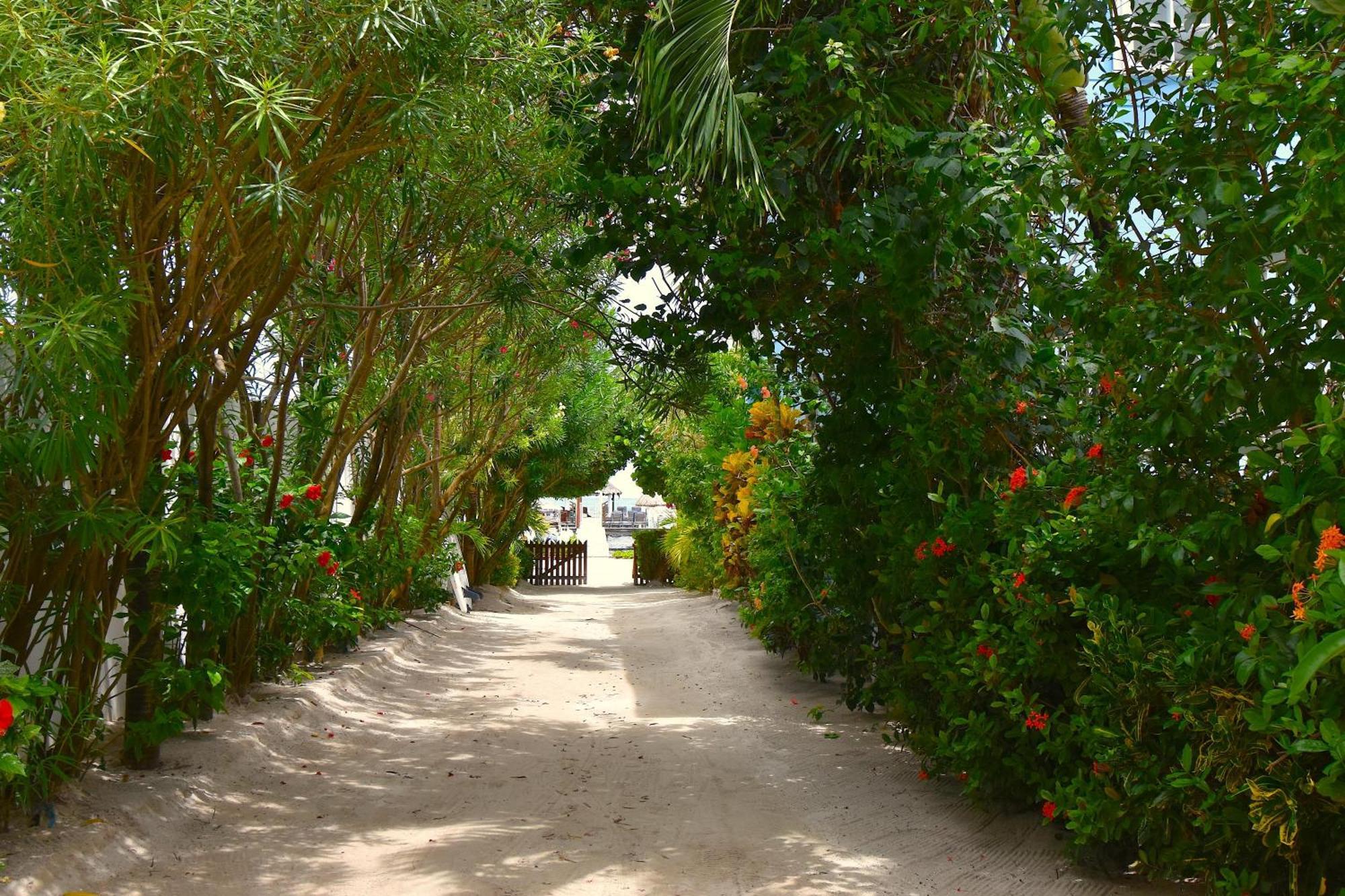 Palmetto Garden Cottage Кей-Колкер Экстерьер фото